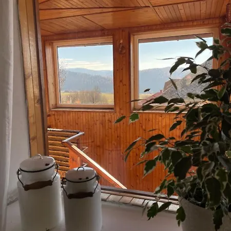 Studnicka Villa *